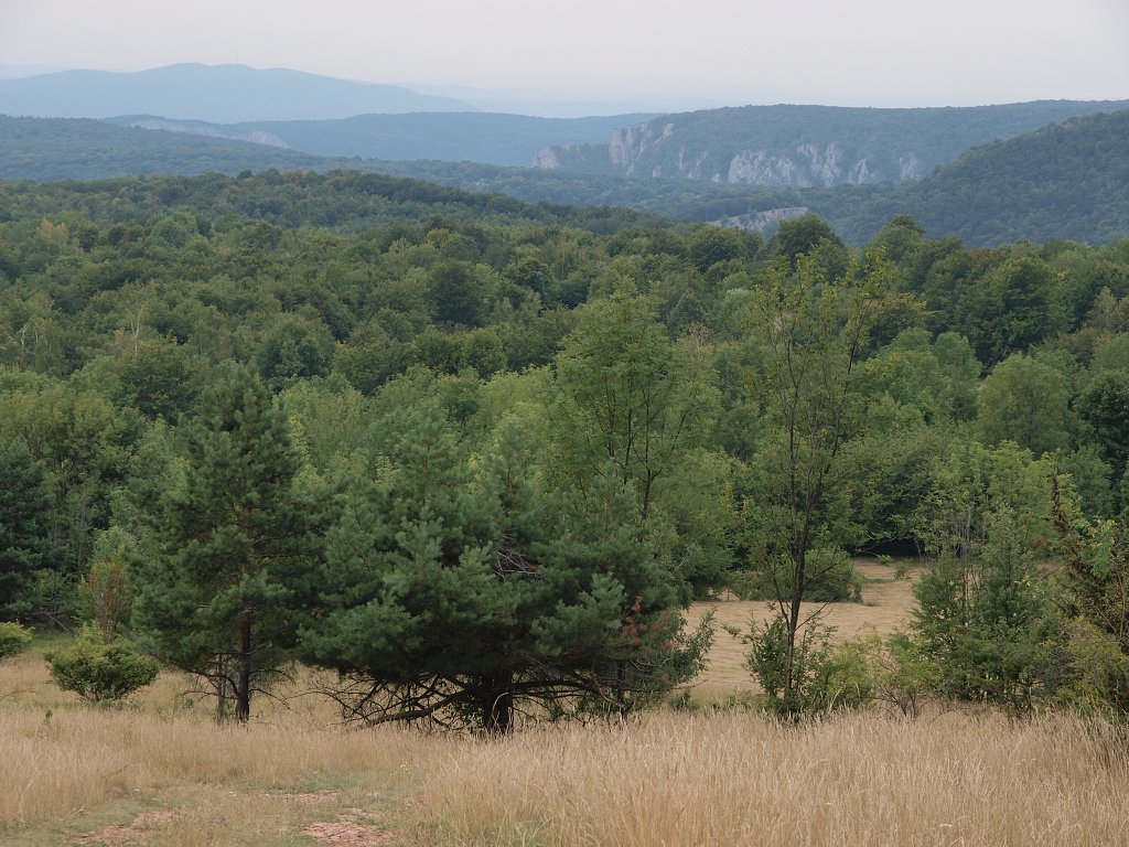 img00015.jpg