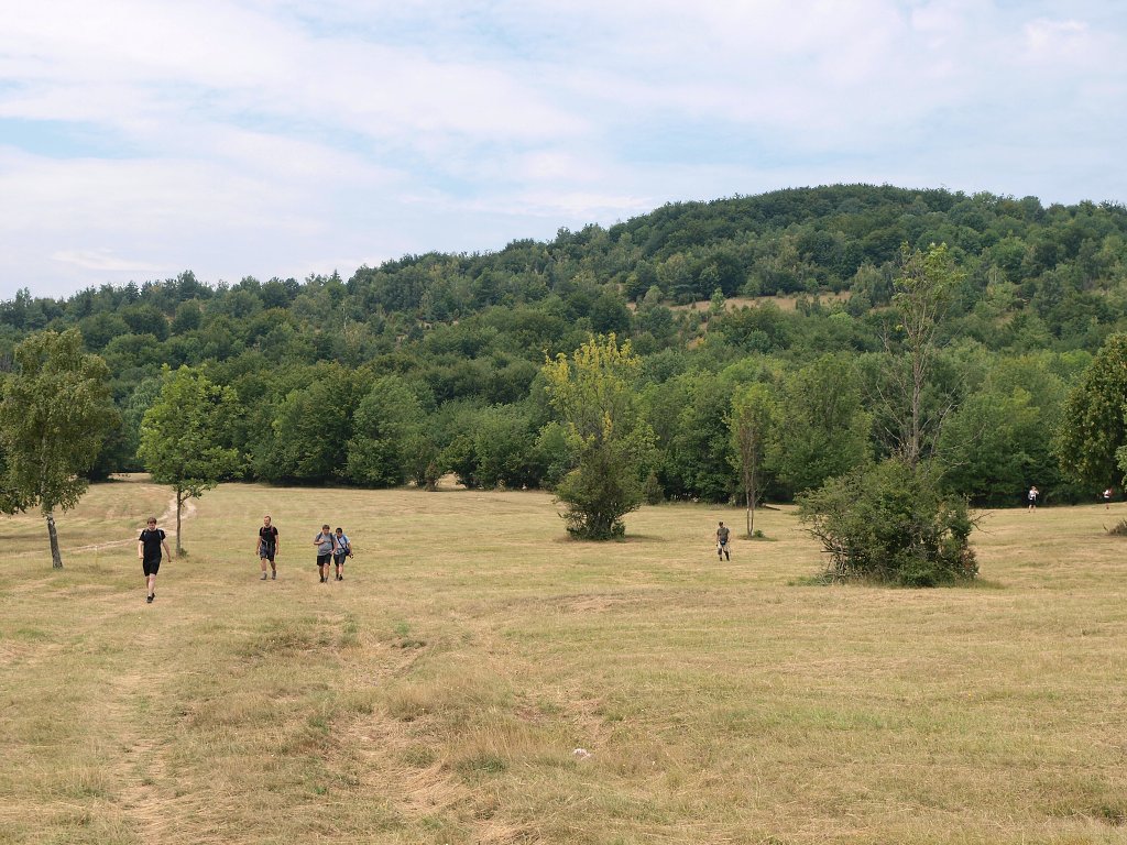 img00016.jpg
