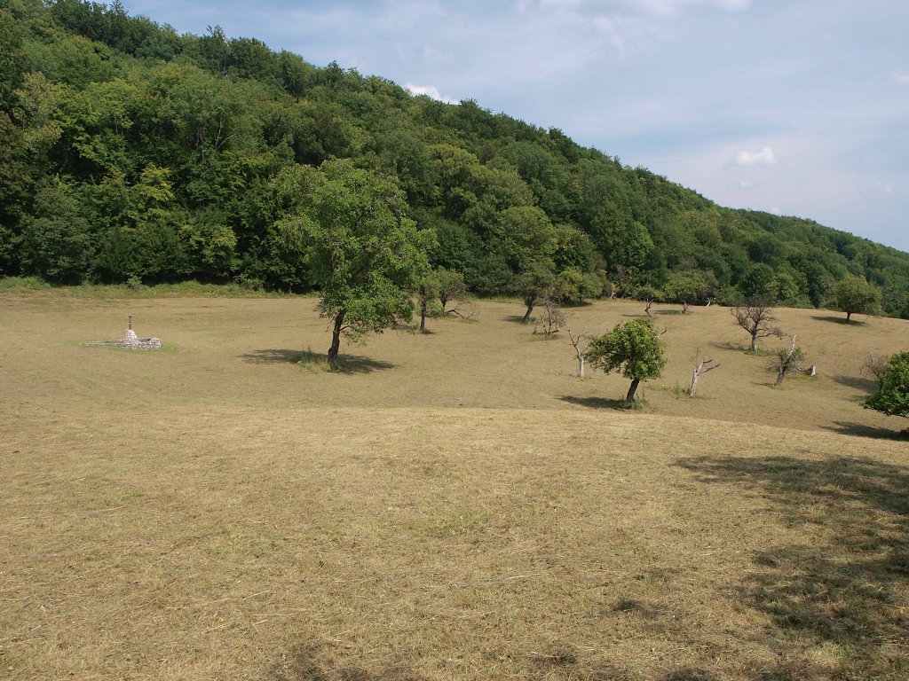 img00019.jpg