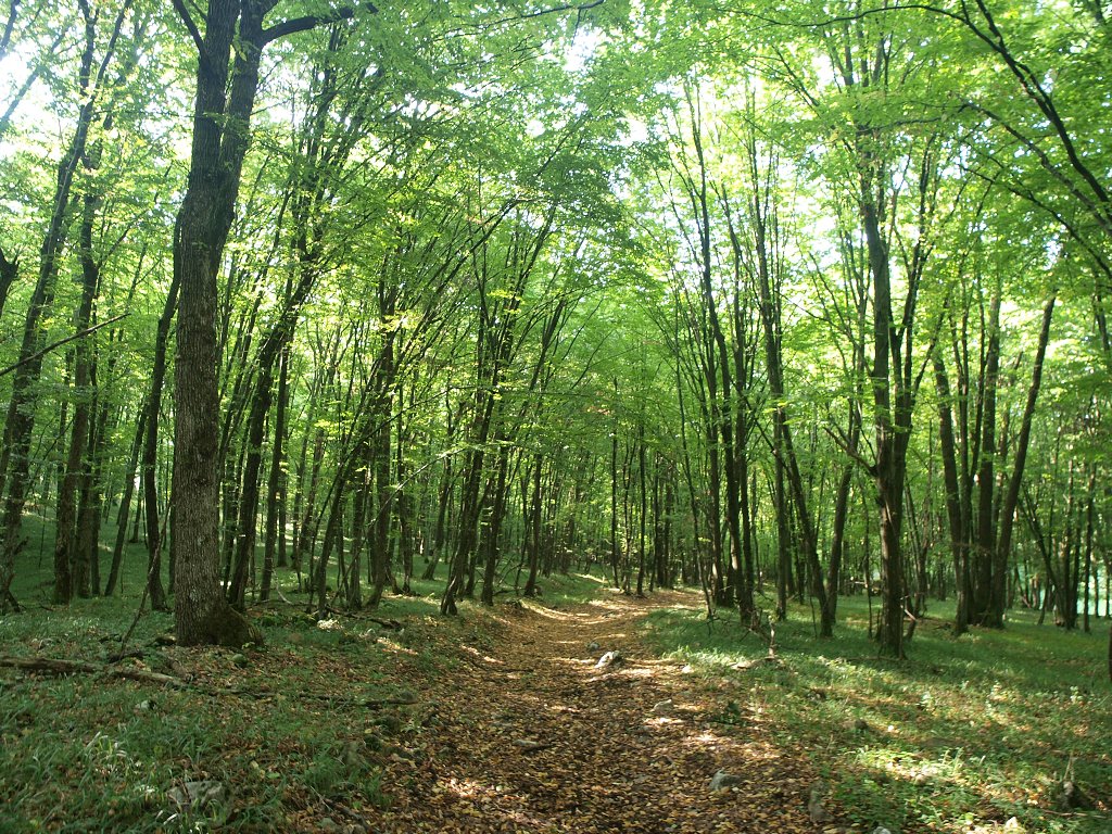 img00002.jpg