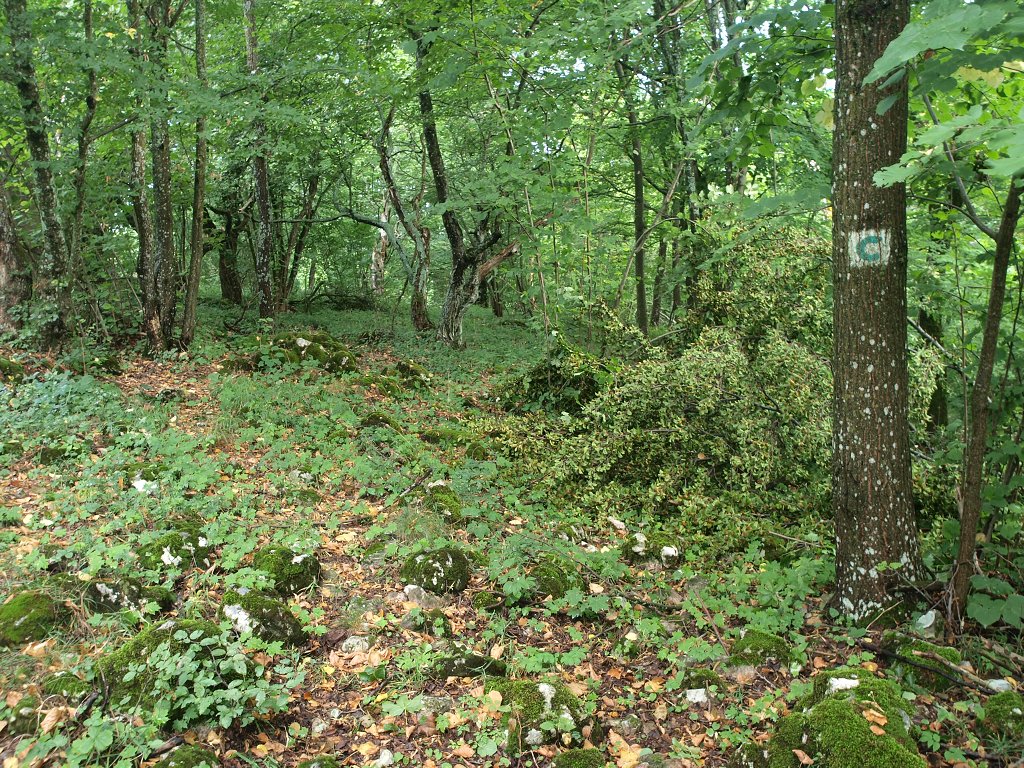 img00006.jpg