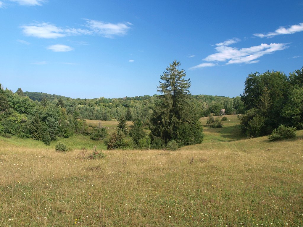img00007.jpg