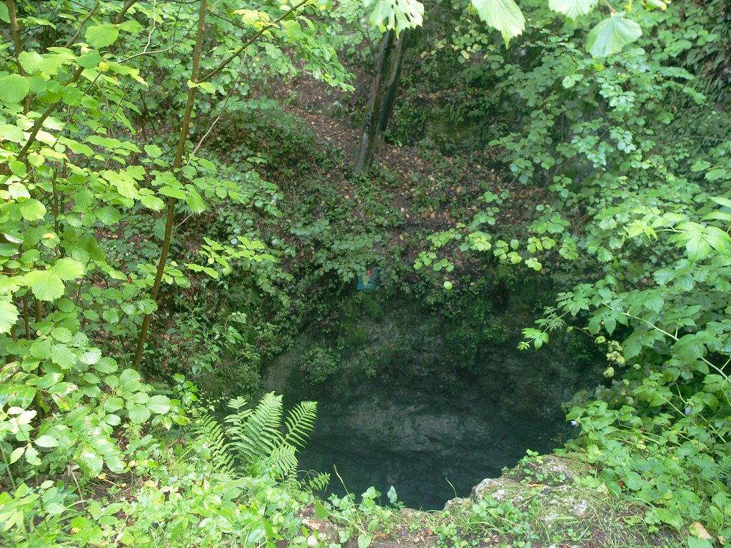 img00009.jpg