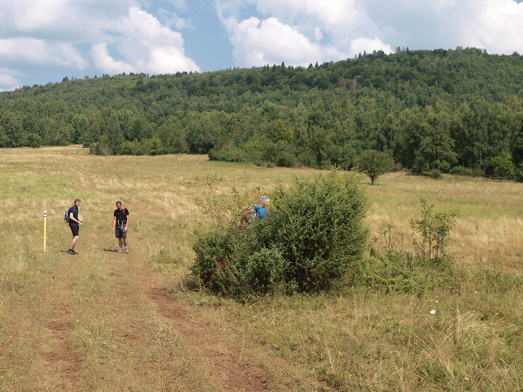 img00015.jpg