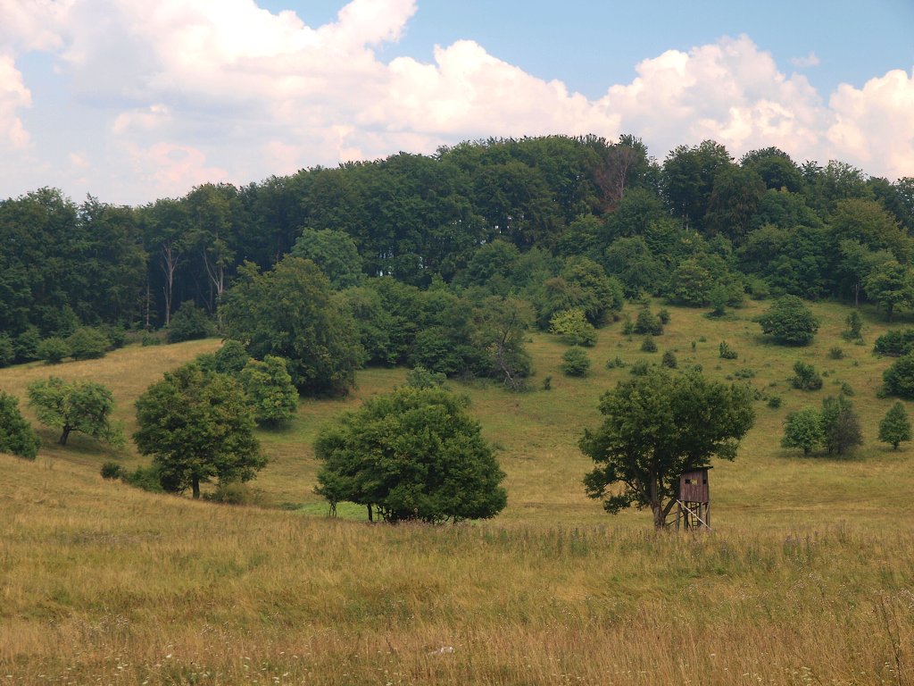 img00022.jpg