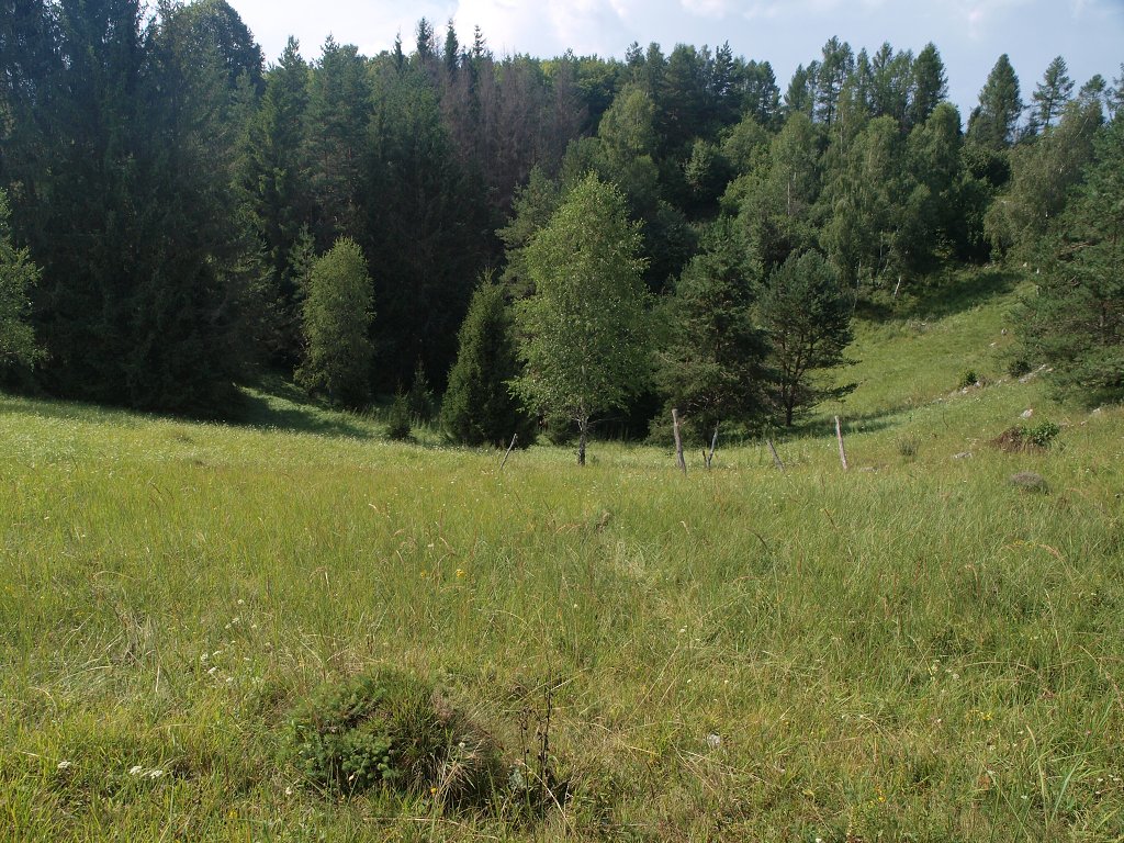 img00025.jpg