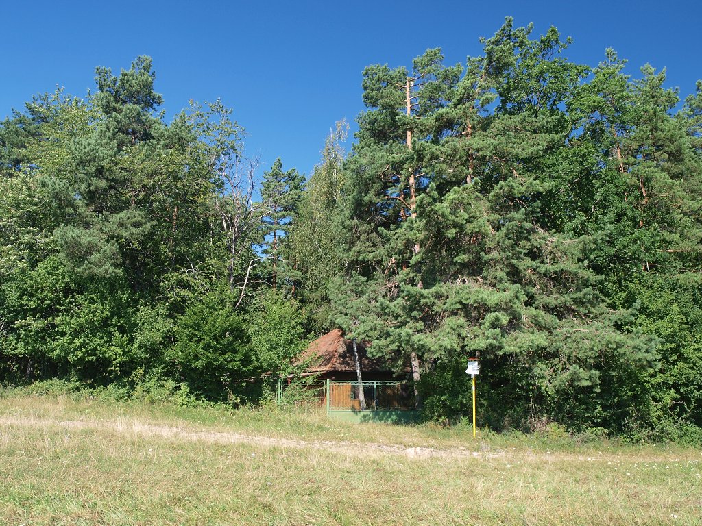 img00003.jpg