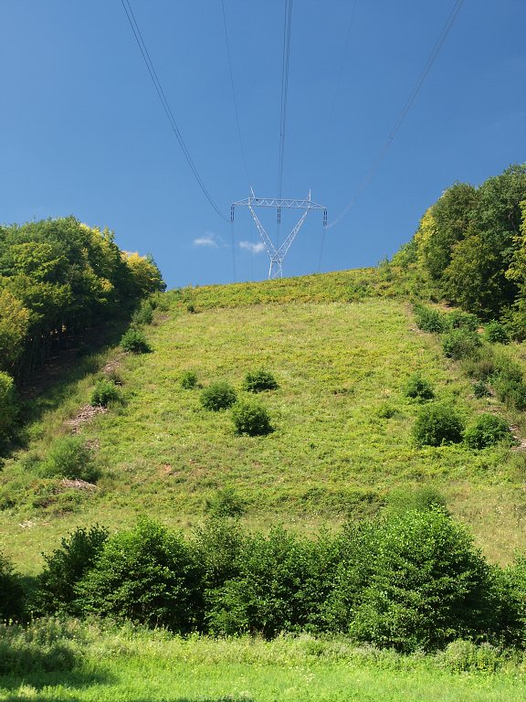 img00005.jpg