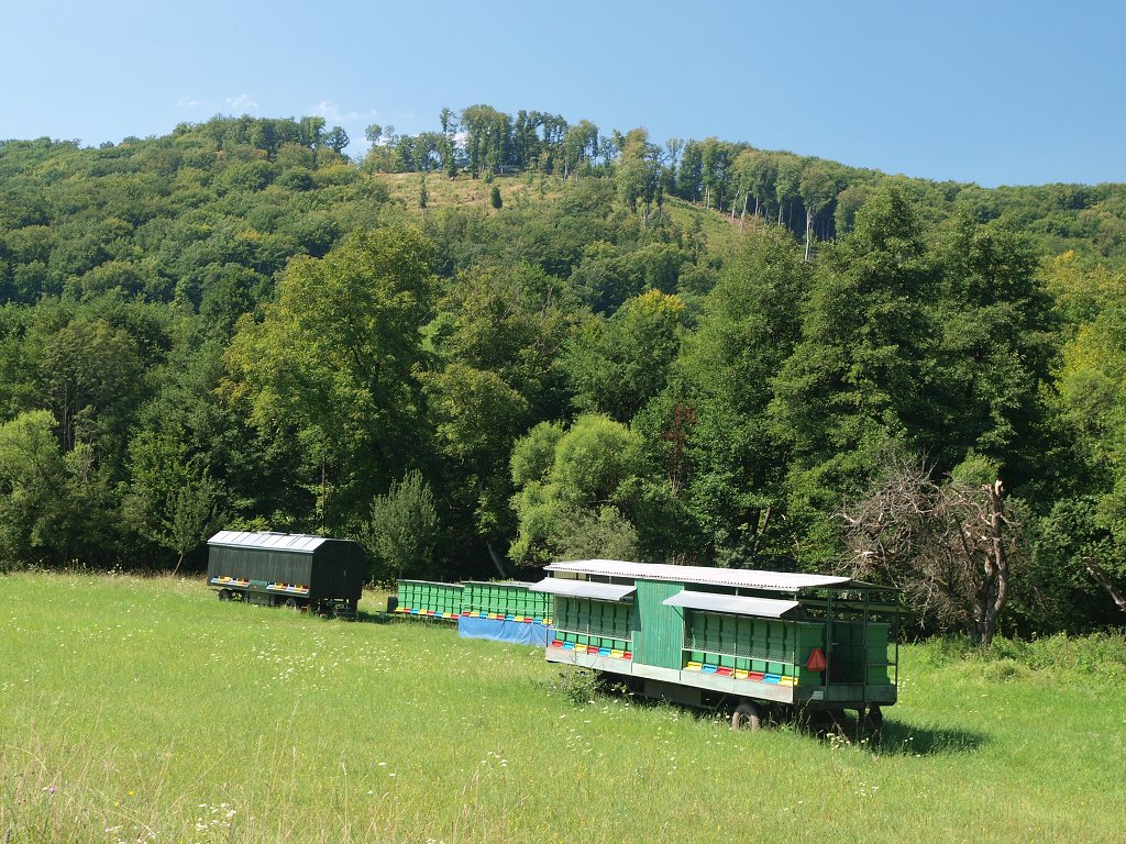 img00006.jpg