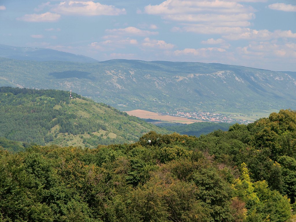 img00011.jpg
