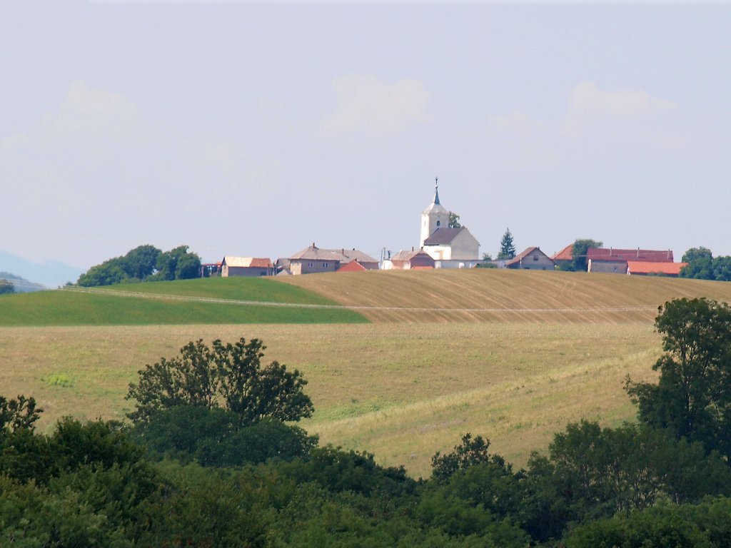 img00012.jpg
