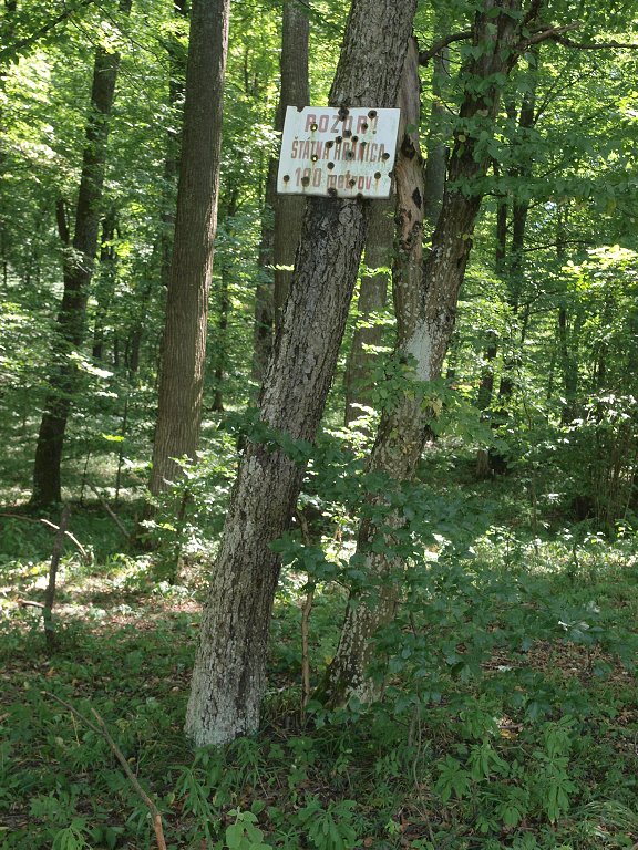 img00014.jpg
