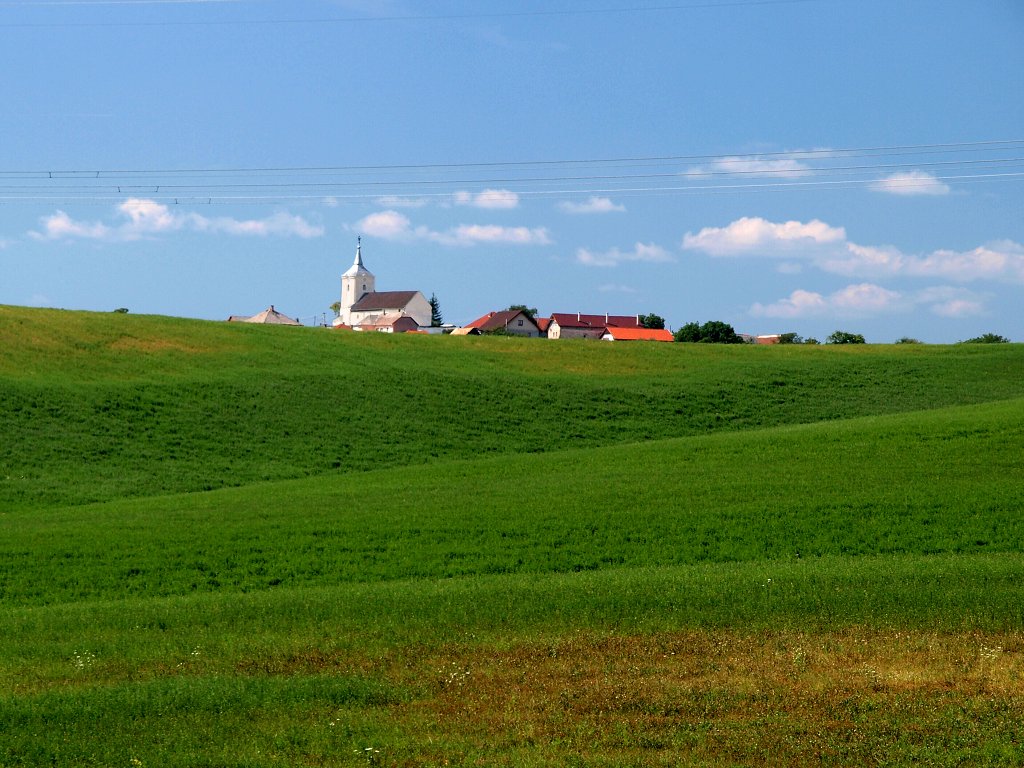 img00015.jpg