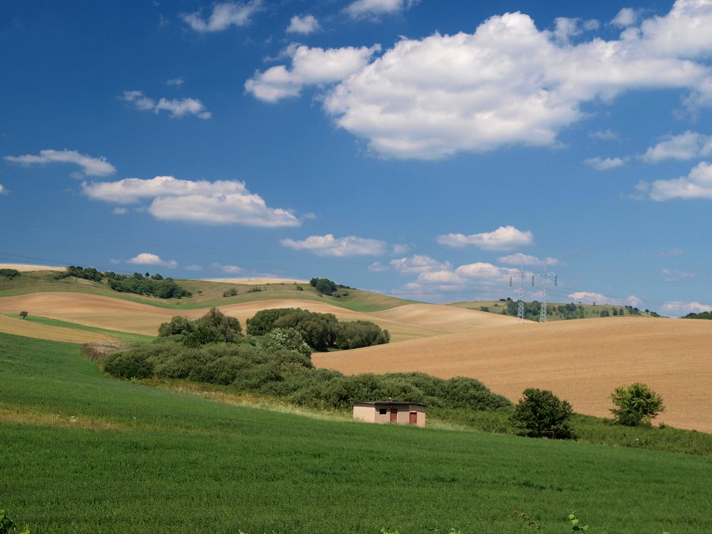 img00016.jpg