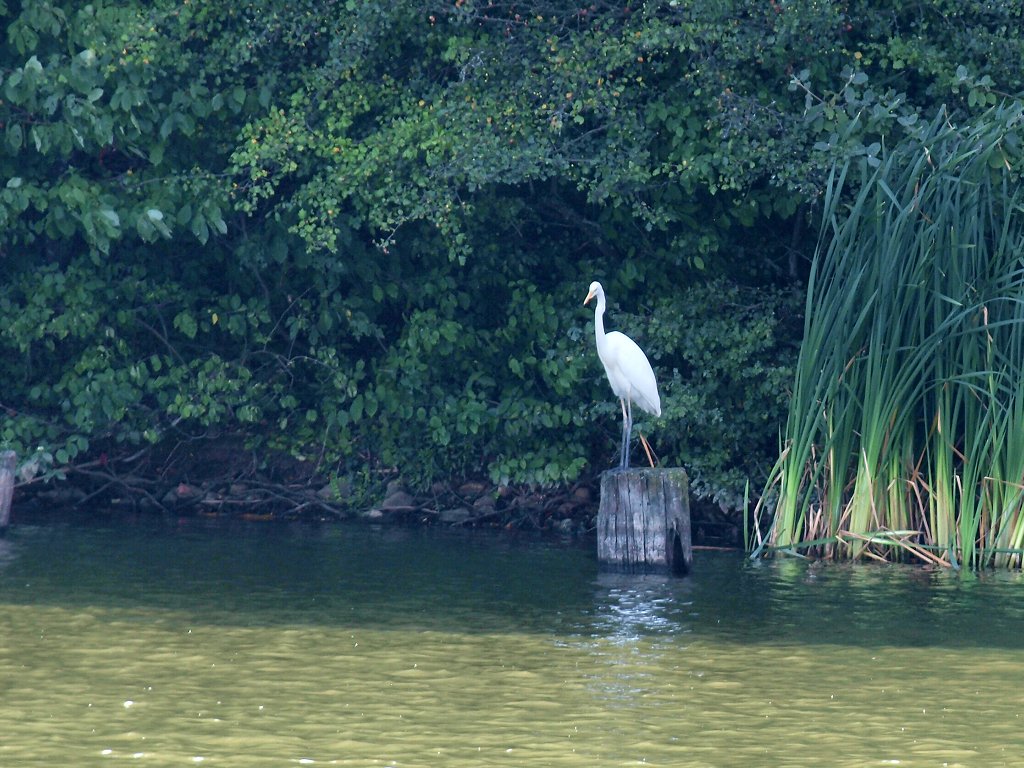 img00018.jpg
