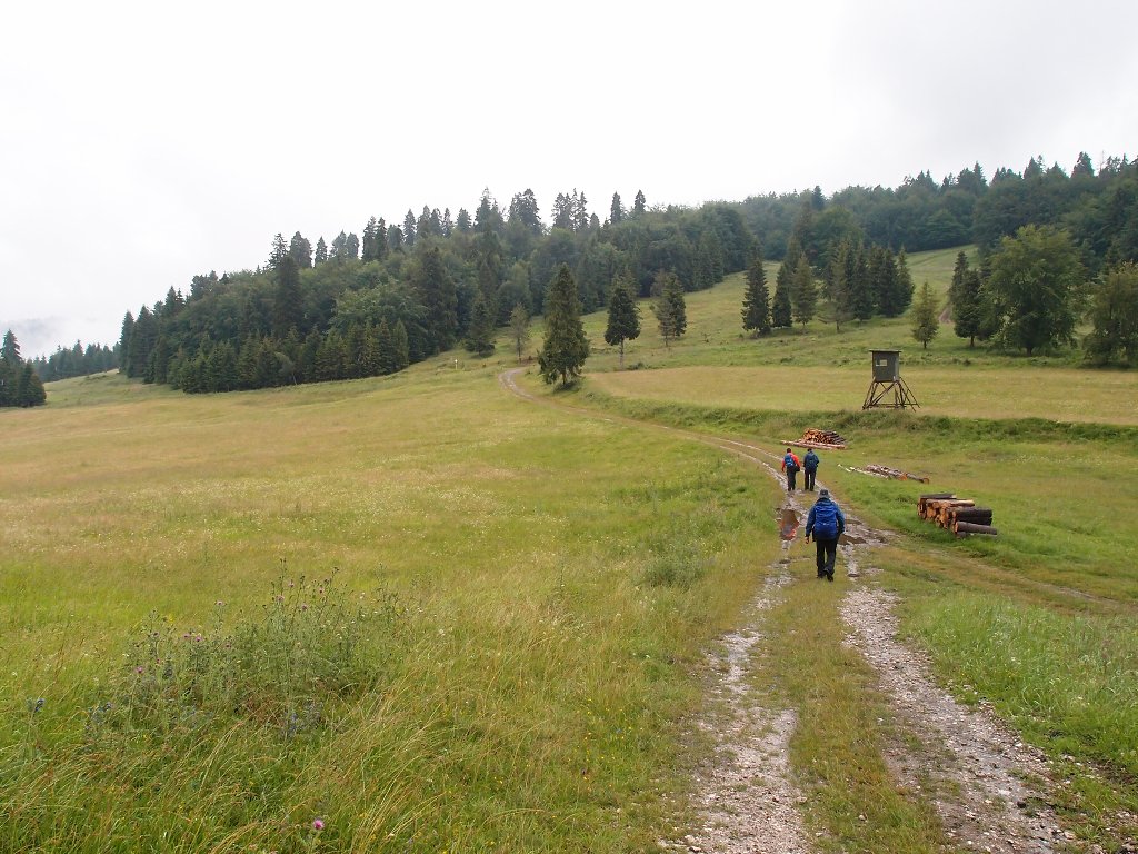 img00011.jpg