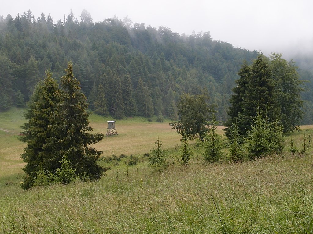 img00012.jpg
