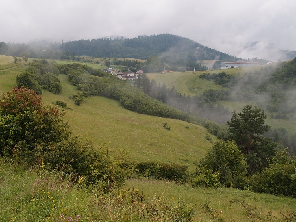 img00014.jpg