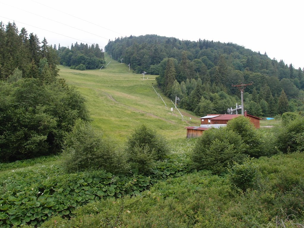 img00022.jpg