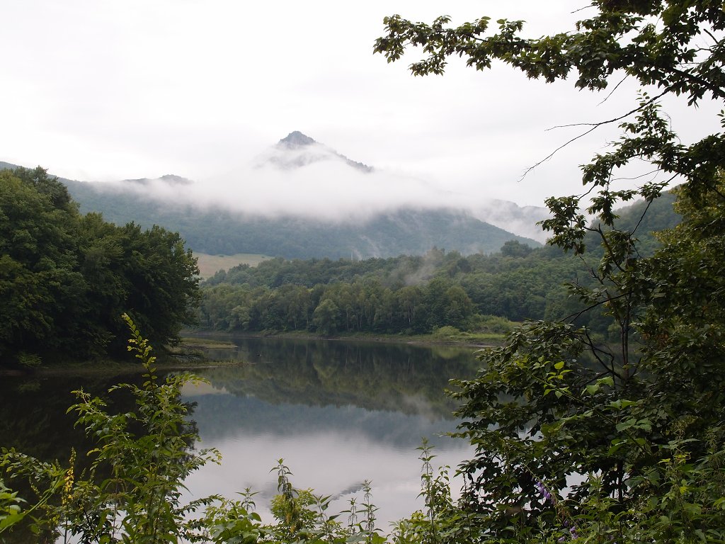 img00003.jpg
