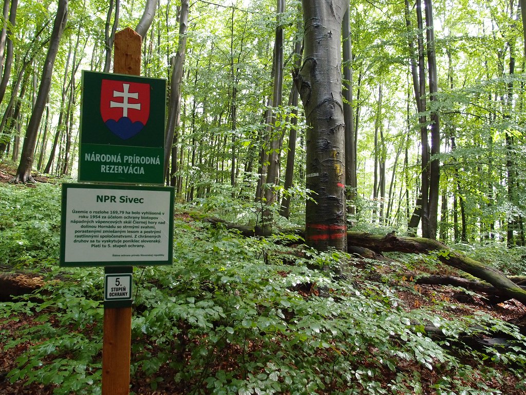 img00006.jpg