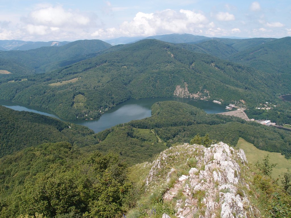 img00009.jpg