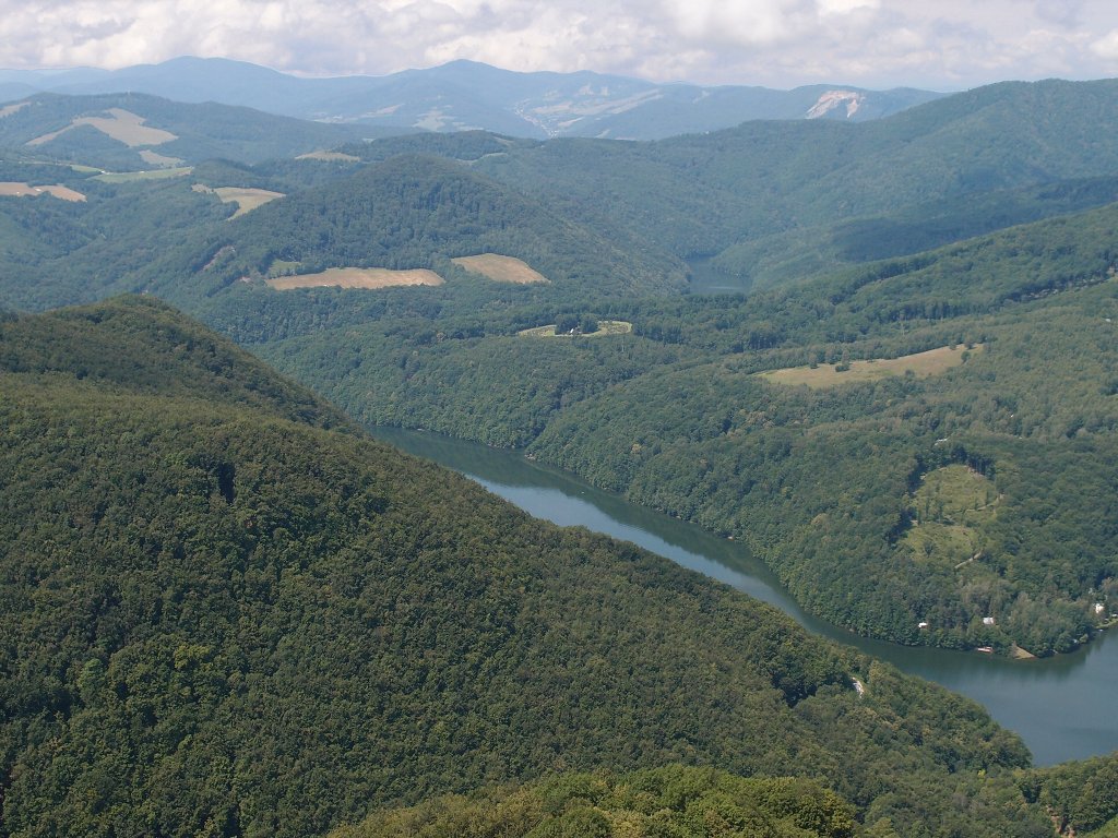 img00010.jpg