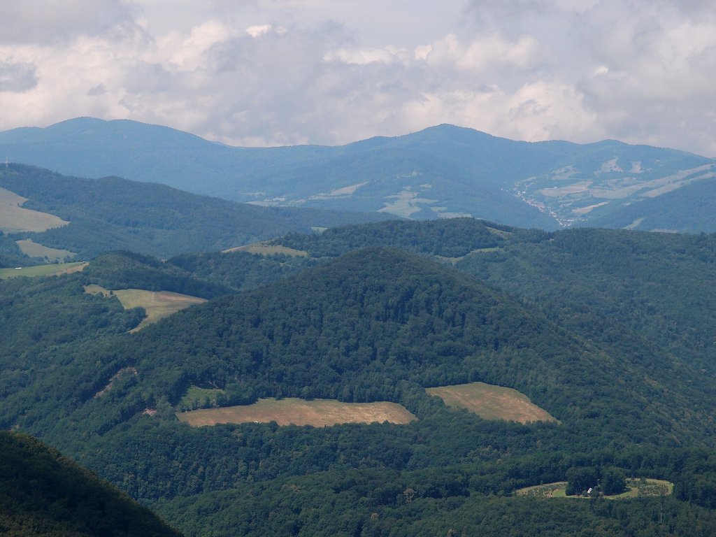 img00013.jpg