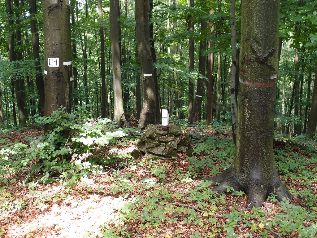 img00016.jpg