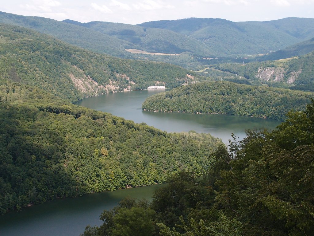 img00017.jpg