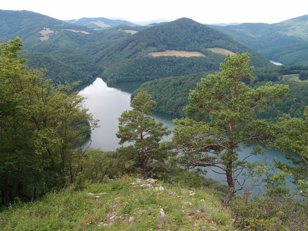 img00019.jpg