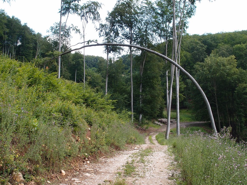 img00020.jpg
