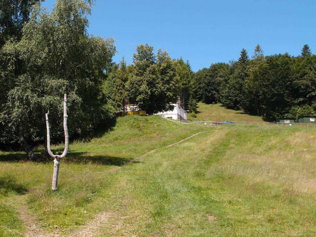 img00004.jpg