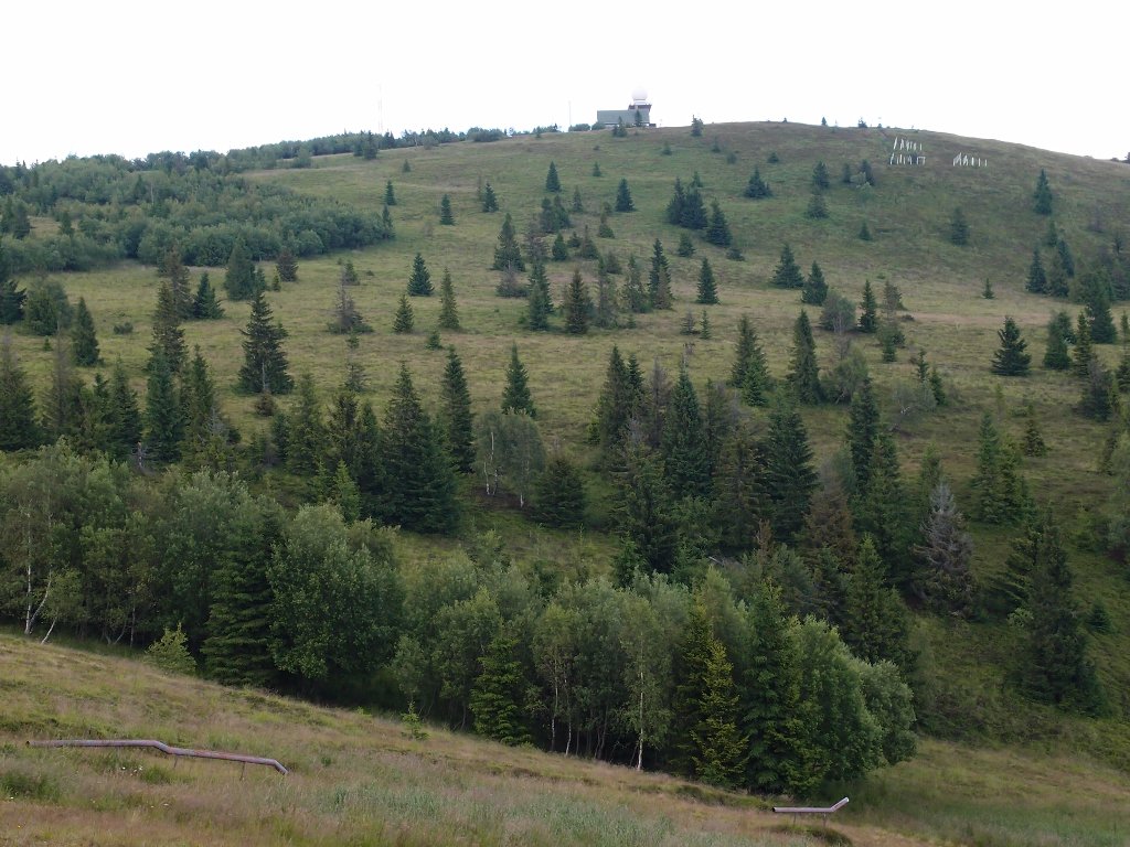 img00011.jpg