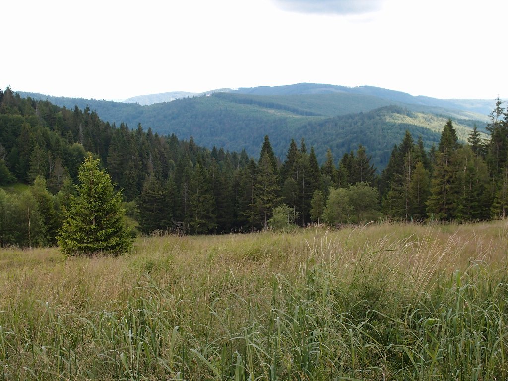 img00012.jpg