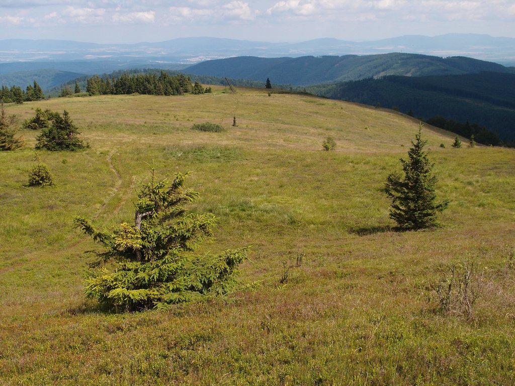 img00016.jpg