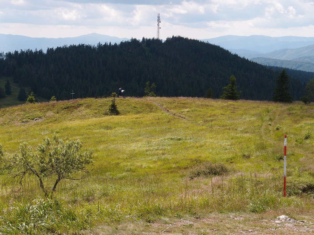 img00017.jpg