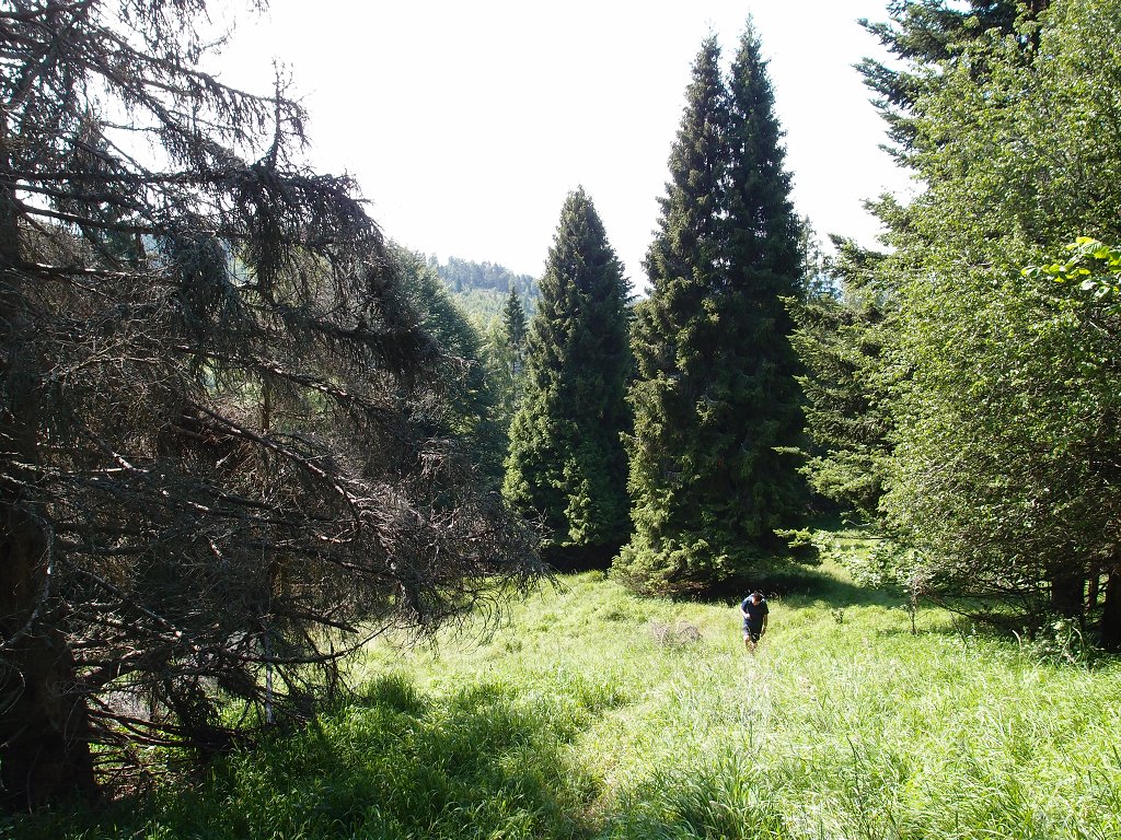 img00006.jpg