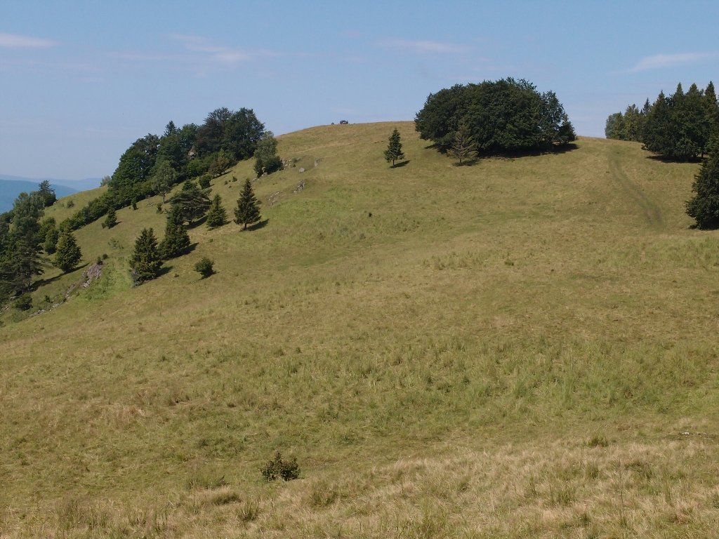 img00007.jpg