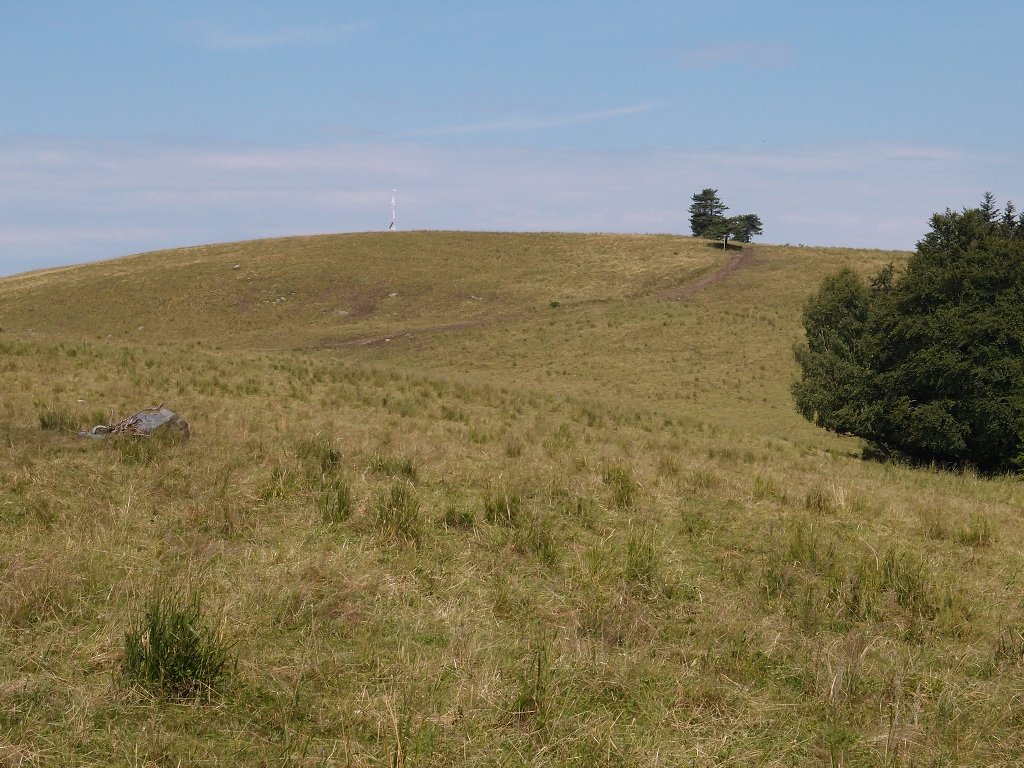 img00008.jpg