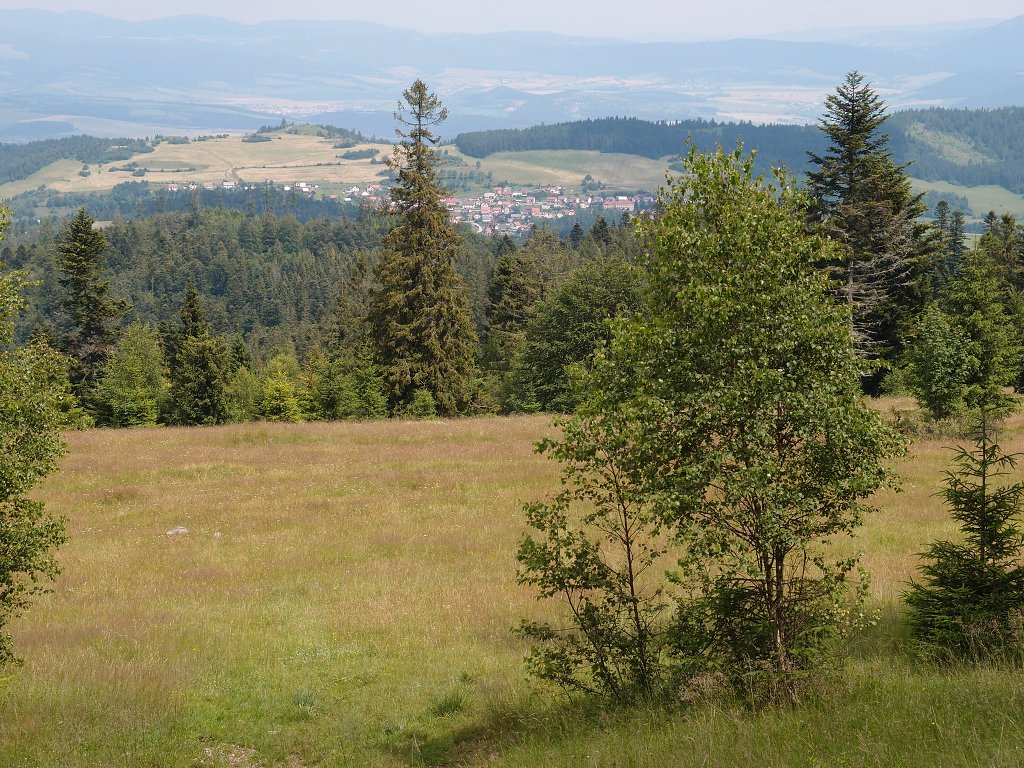 img00015.jpg