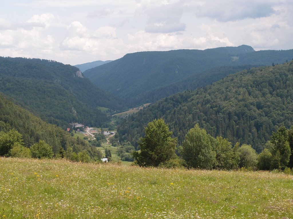 img00017.jpg