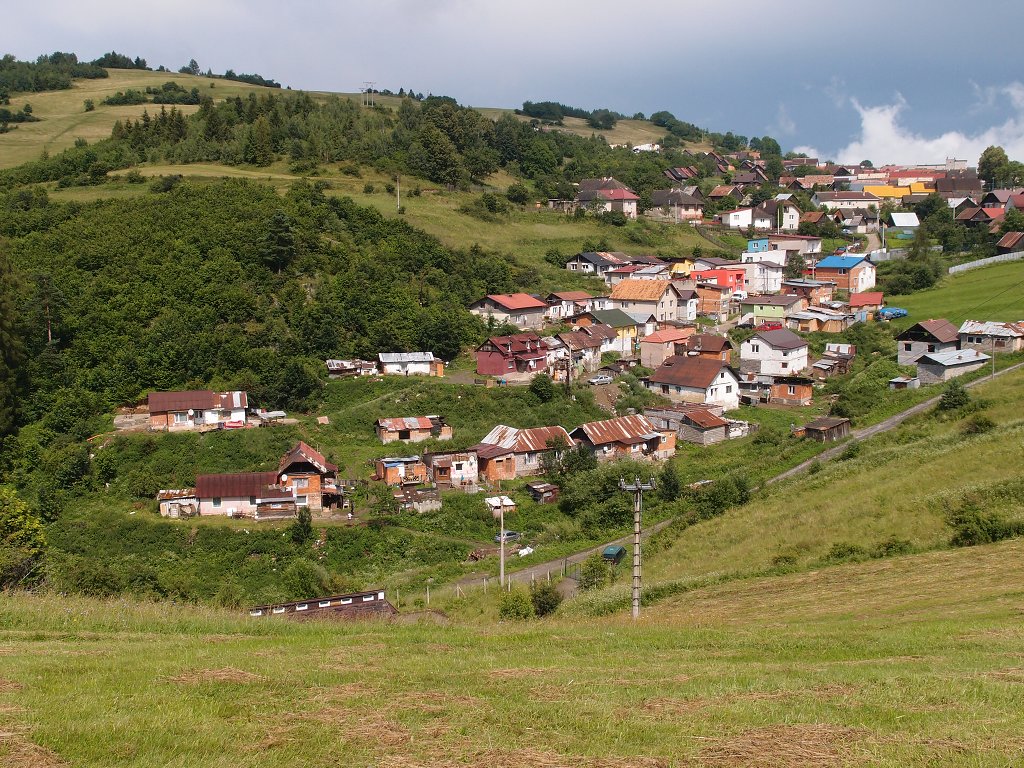 img00020.jpg