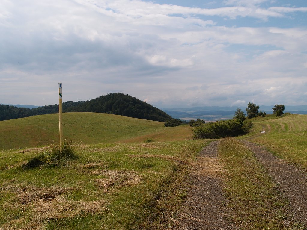 img00024.jpg