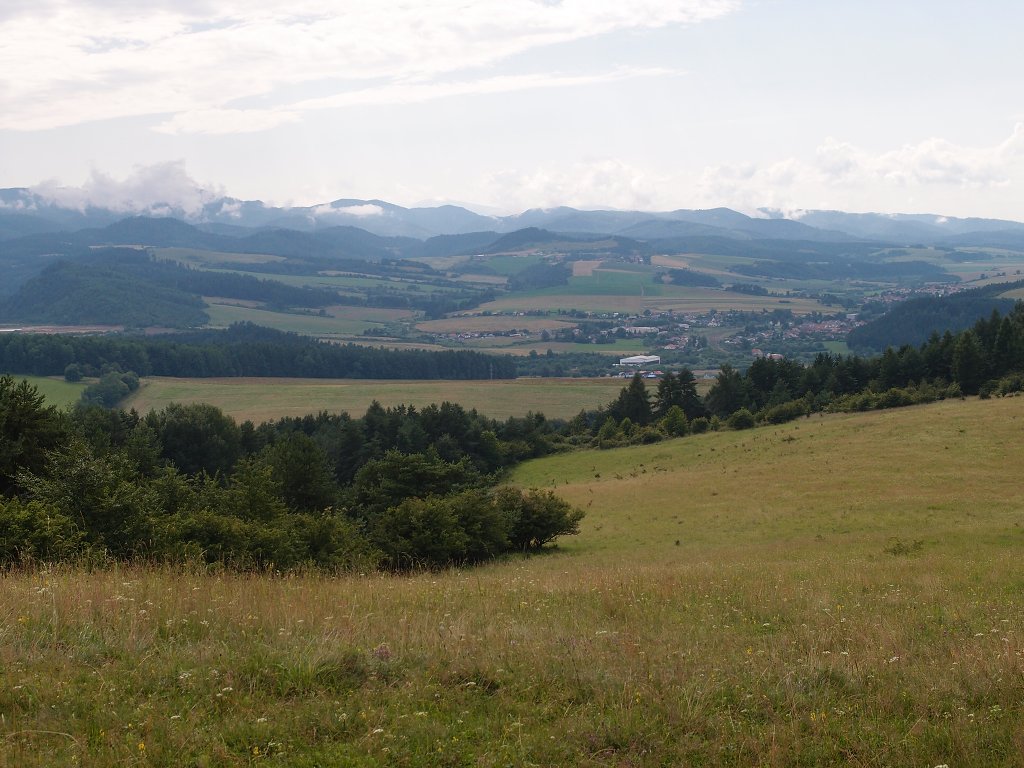 img00025.jpg