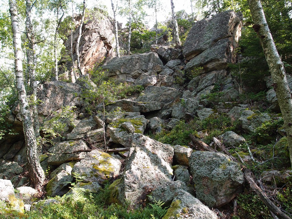 img00005.jpg