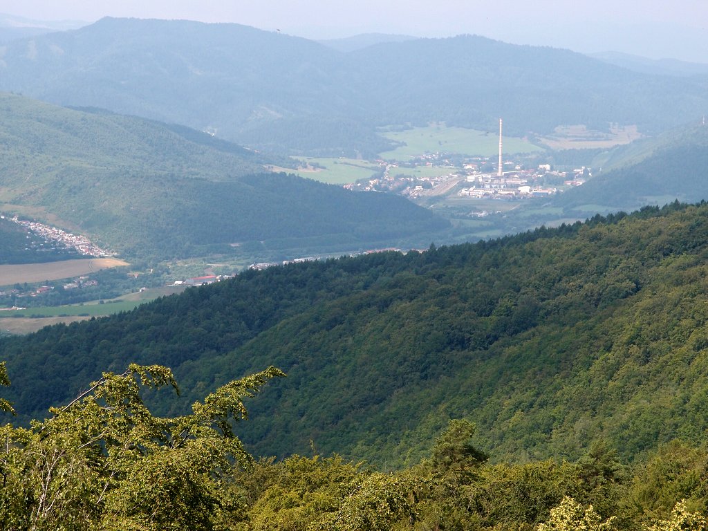 img00008.jpg