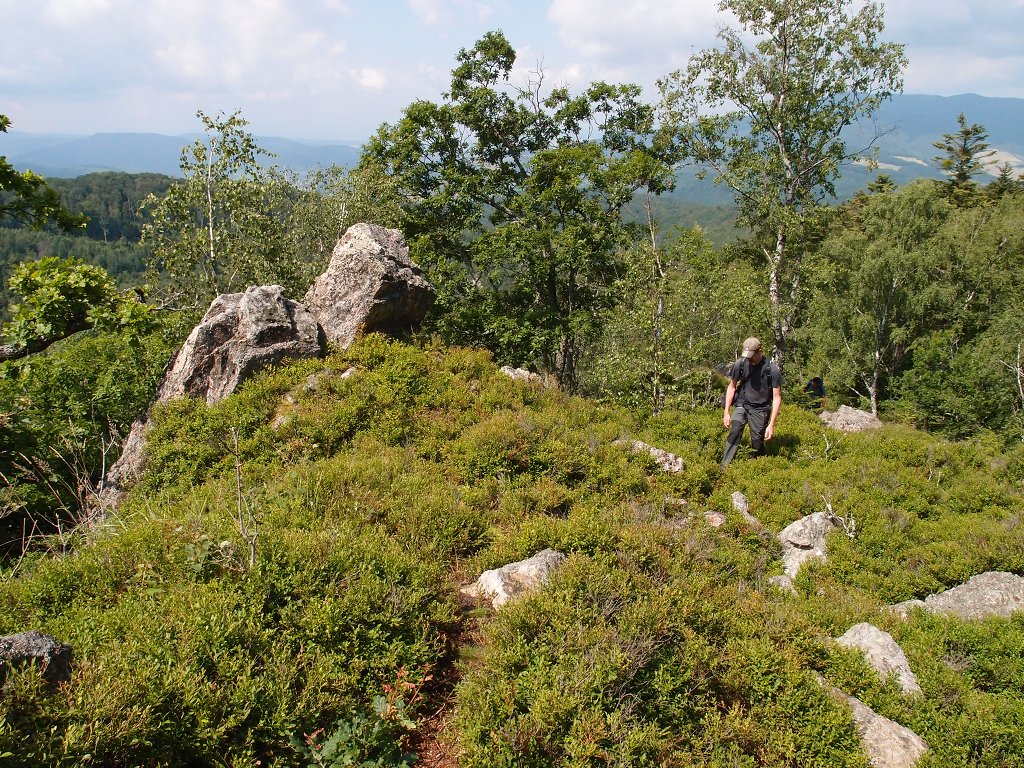 img00009.jpg