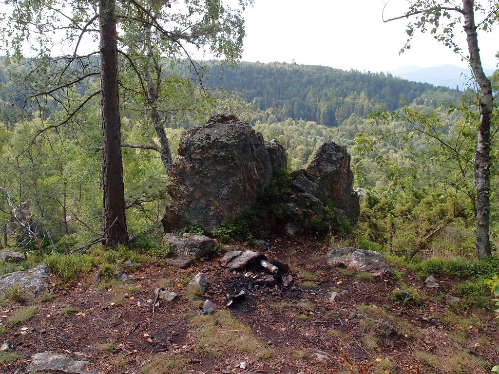 img00010.jpg