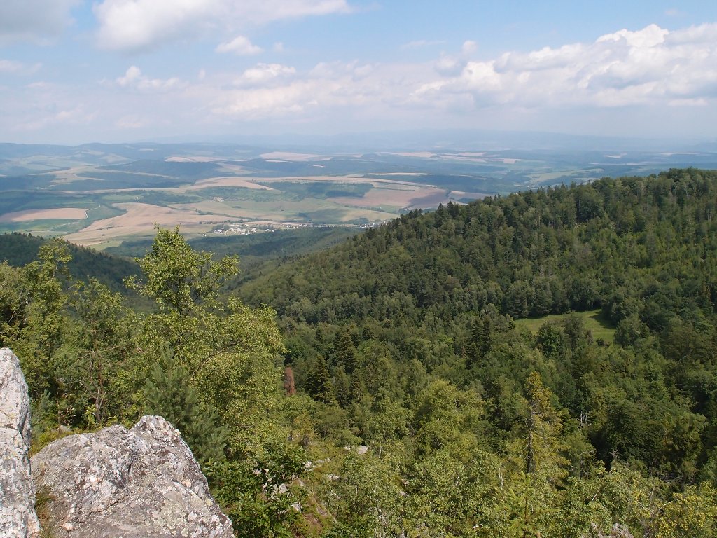 img00012.jpg